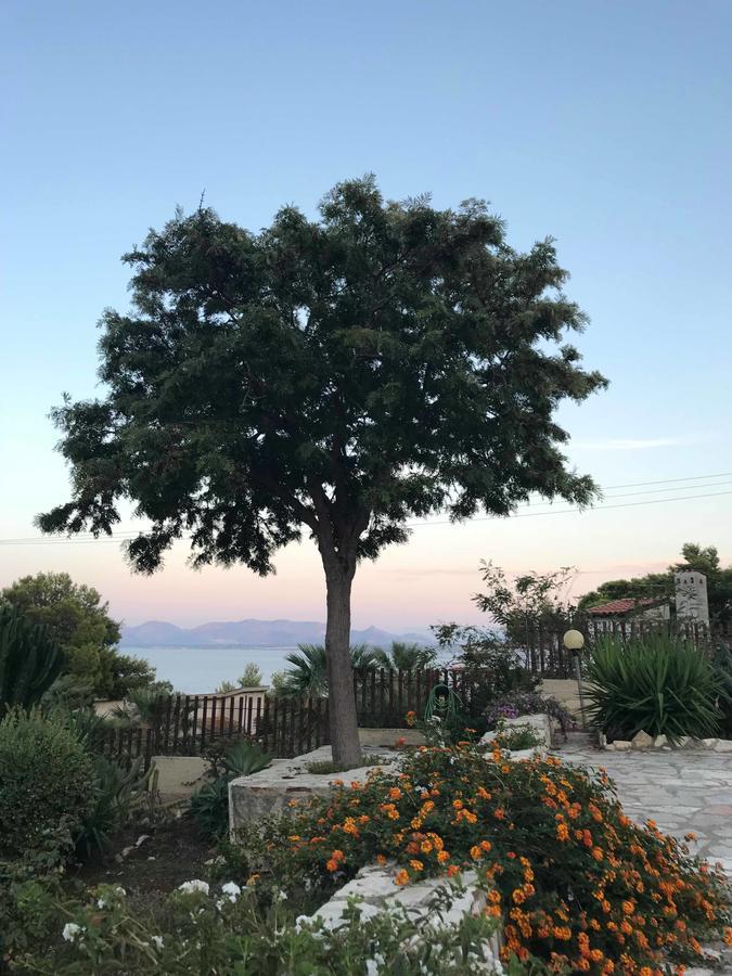 Villa Michela Scopello  Buitenkant foto